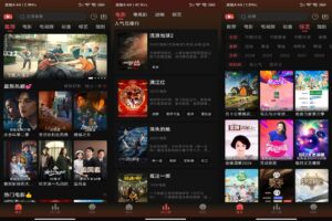爱看影视破解版v5.9.9-软软软件库